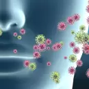 El Virus Sincicial Respiratorio puede tener un fuerte impacto en personas con enfermedades card�acas