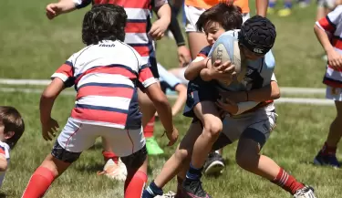 rugby