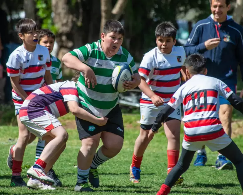 rugby