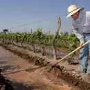 Sectores productivos, los m�s afectados con el retroceso del empleo formal
