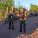 Allanamientos masivos en Malarg�e: secuestraron varias plantas de marihuana