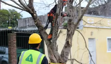 Luj�n har� un corte total en calle Darragueira por mantenimiento programado de �rboles