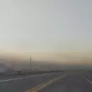 (Video) Temperaturas bajo cero y heladas tard�as golpearon zonas productivas