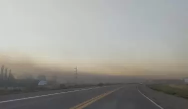 Heladas en el Valle de Uco