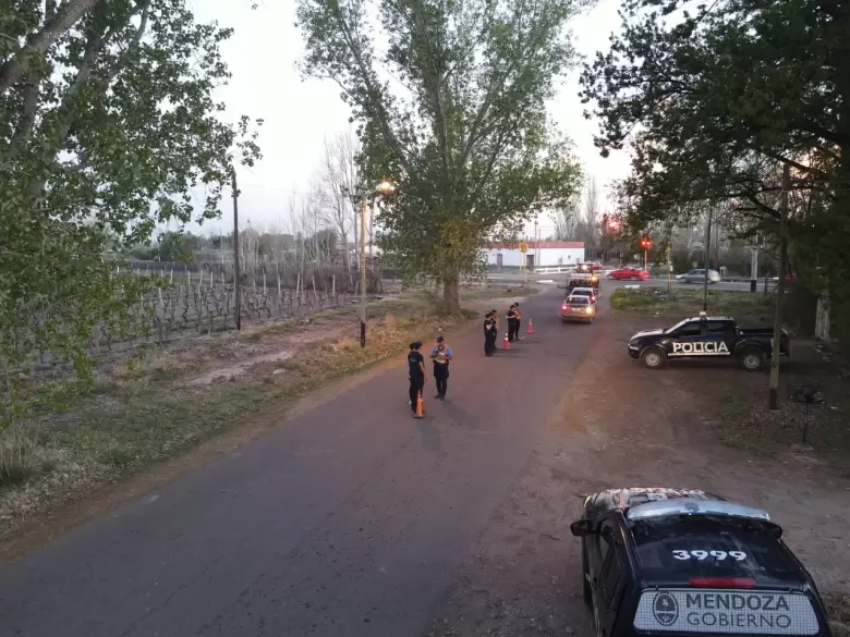 operativo san carlos