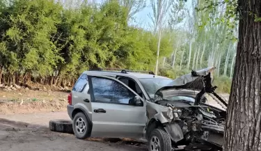 Un conductor muy alcoholizado perdi� el control y choc� contra un �rbol en Tunuy�n