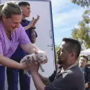 Los Corralitos recibir� a Muni Expr�s, con atenci�n sanitaria, cultural y social