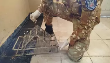 Operativo rural