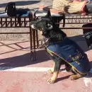 Tupungato: con la ayuda de Snaiper, la Polic�a resolvi� un robo y detuvo a los sospechosos