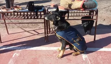 Tupungato