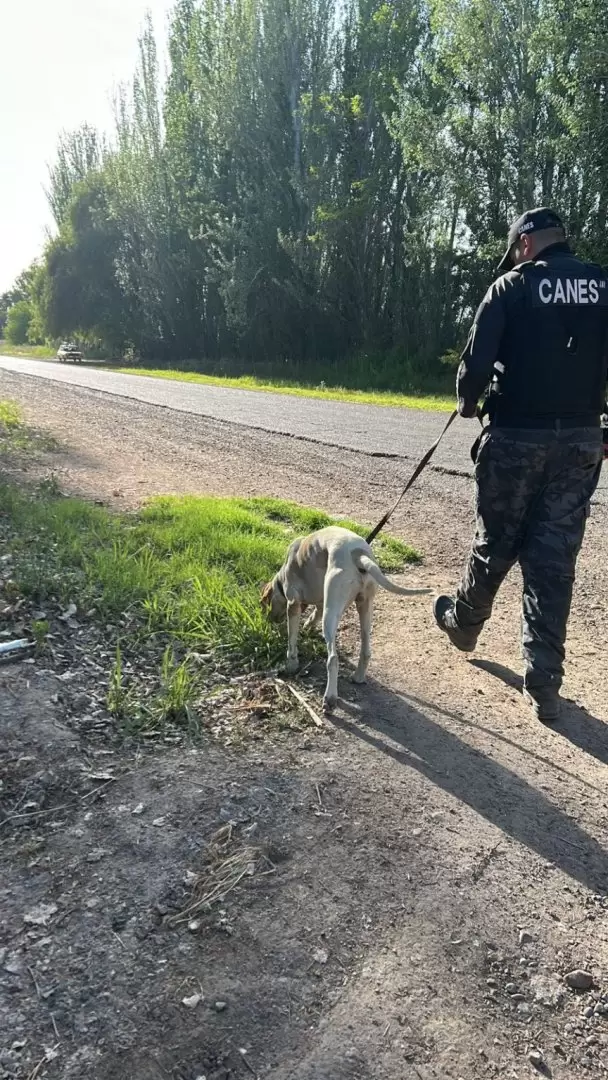 fito perro polic�a