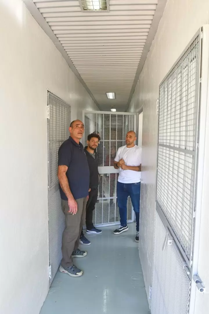 penal juvenil