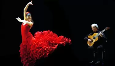 flamenco