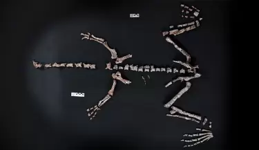dinosaurio