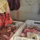 Menos abigeato: decomisaron 92 kilos de carne no apta para consumo humano en Lavalle