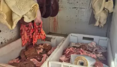 Menos abigeato: decomisaron 92 kilos de carne no apta para consumo humano en Lavalle