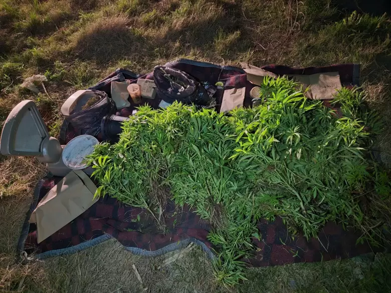 narco