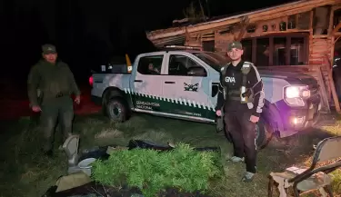 narco