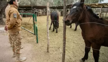Polic�a rural
