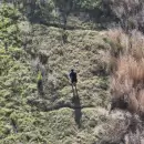 Un operativo de altura: drones localizaron a un hombre extraviado en una zona rural de Lavalle