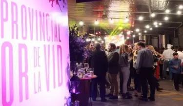 fiesta provincial de la flor vid