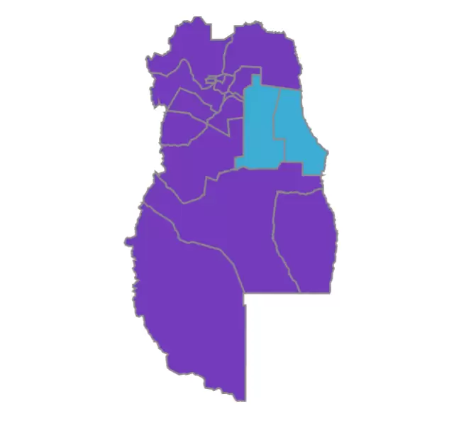 elecciones 2025