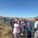 Más de 50 personas participaron en una jornada de observación de aves en Llancanelo