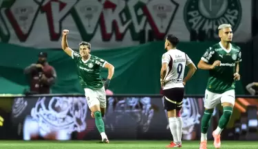 palmeiras