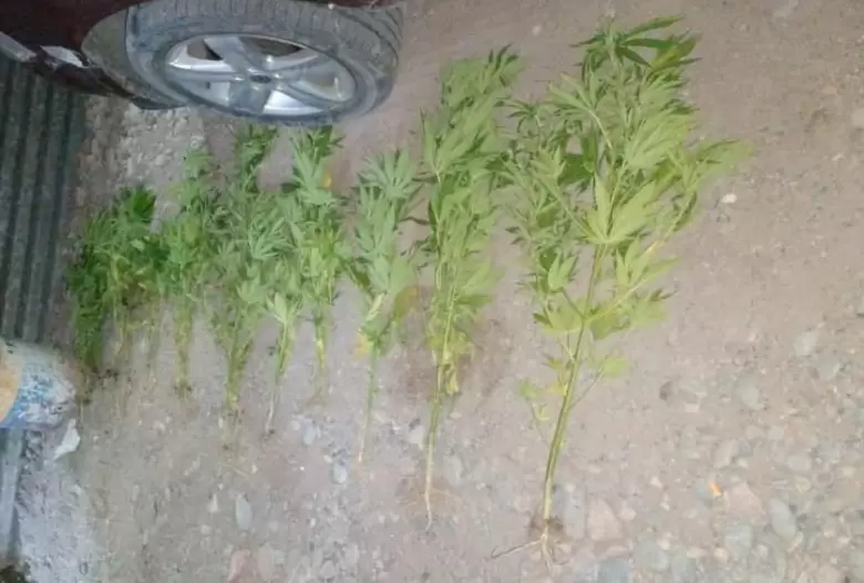 drogas-patrullaje en el Gran Mendoza