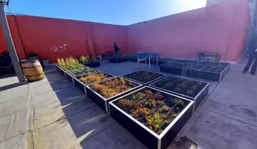Terraza vegetada