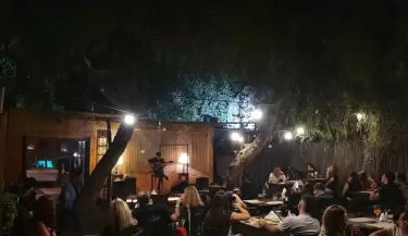 willys bar