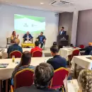 Expertos de 12 países se reunieron en Mendoza para perfeccionar la técnica del insecto estéril
