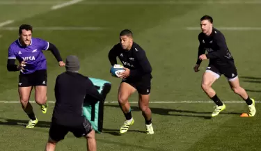 los pumas