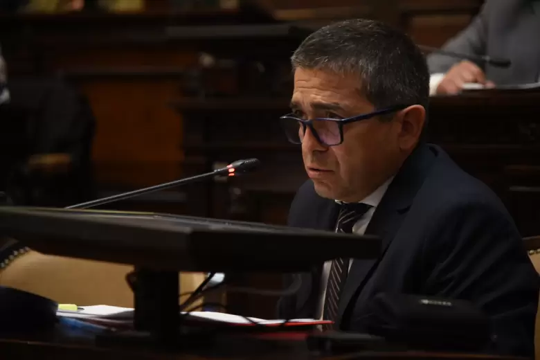 senadores mendoza