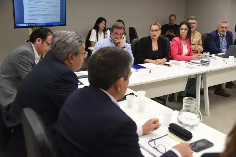 senadores