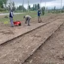 Contin�a la nivelaci�n y forestaci�n en el futuro parque lineal de Cuadro Benegas