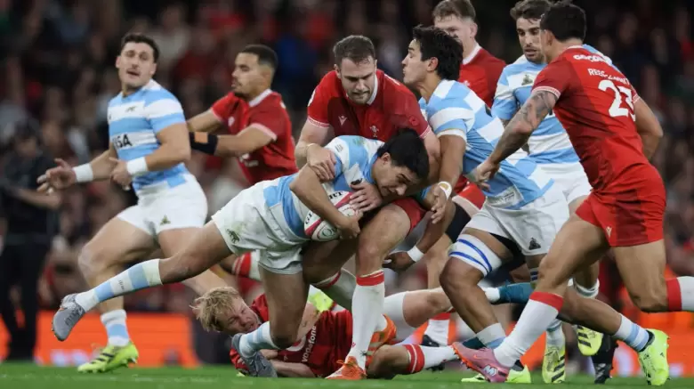 los pumas