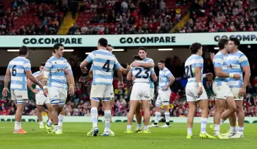 los pumas