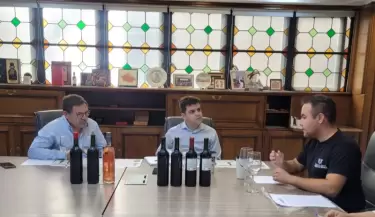 Bodegas