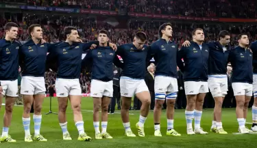 los pumas