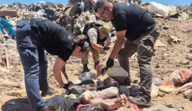 decomiso