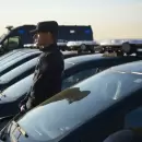 Detenciones y plantas de cannabis secuestradas en procedimientos policiales en Tupungato