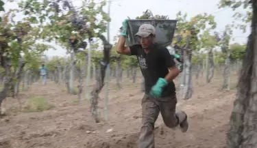 La Cosecha