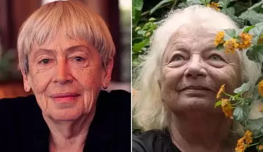diana bellessi