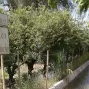 Mendoza licitar� una obra clave para modernizar el canal Bombal, en San Rafael