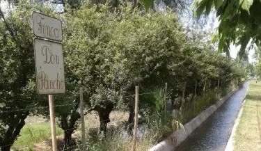 canal-bombal
