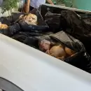 Otro golpe al abigeato: secuestraron carne en mal estado en Alvear y Guaymall�n