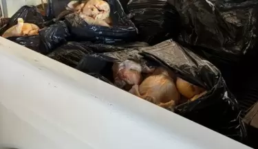 Operativos