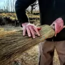 Mendoza se prepara para el Festival del Junquillerito que promete cautivar a todo la provincia