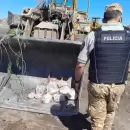 Un control rural en General Alvear terminó con un decomiso de carne en malas condiciones